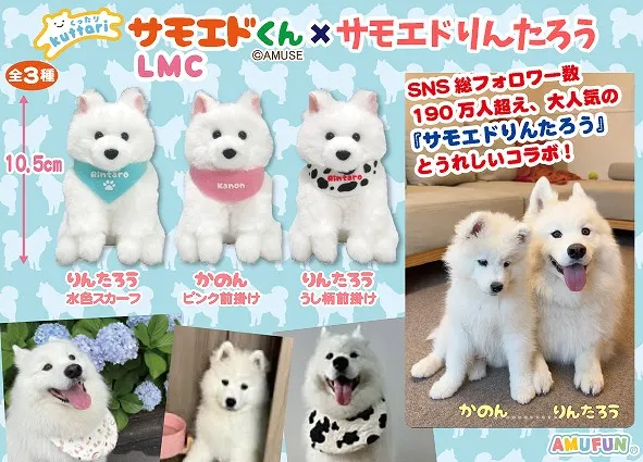 くったりサモエドくん×サモエドりんたろう ラインナップ 5