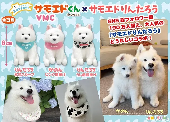 くったりサモエドくん×サモエドりんたろう ラインナップ 6