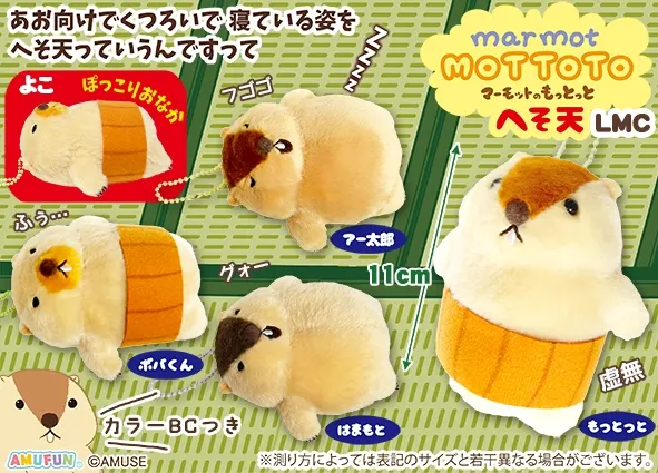 マーモットのもっとっとへそ天 ラインナップ 5