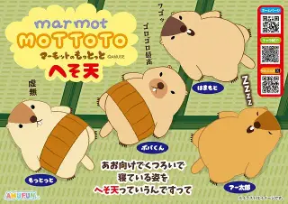マーモットのもっとっとへそ天の画像