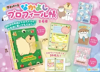 アミュキャラなかよしプロフィール帳の画像