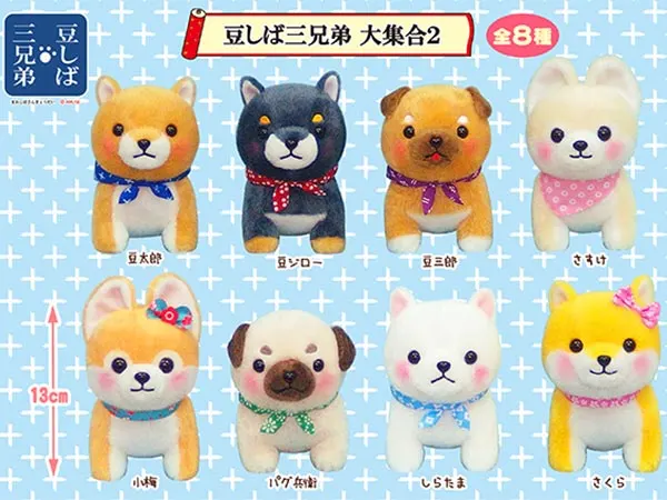 ≪7~8月の新商品≫ PART1 ラインナップ 4