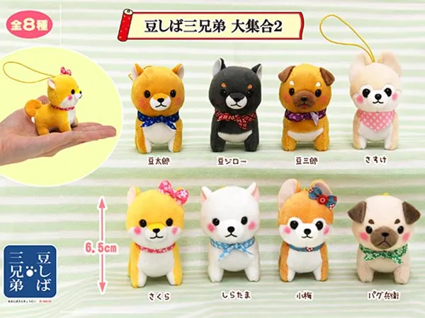 ≪7~8月の新商品≫ PART1 ラインナップ 6