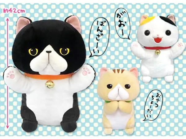 ≪7~8月の新商品≫ PART2 ラインナップ 5