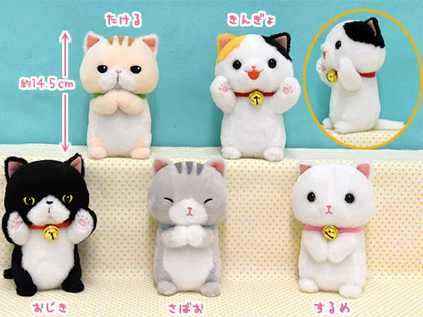 ≪7~8月の新商品≫ PART2 ラインナップ 6