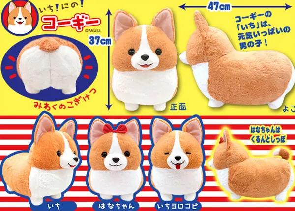 いちにのコーギー(画像)