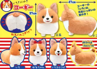 いちにのコーギーの画像