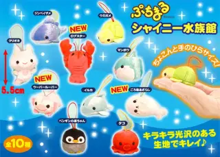 シャイニー水族館の画像