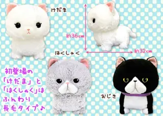 いろんなマンチカンの画像