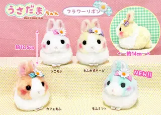 うさだまちゃんの画像