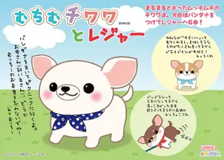 むちむチワワとレジャーの画像