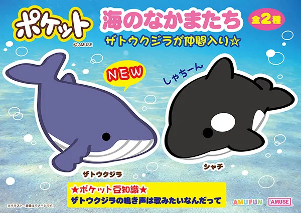 海のなかまたち(画像)