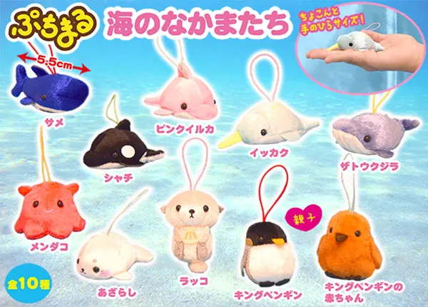 海のなかまたち ラインナップ 5