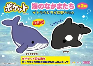 海のなかまたちの画像
