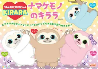 ナマケモノのキララの画像