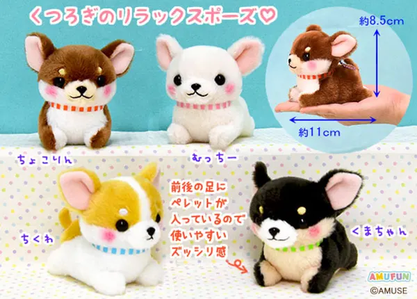 むちむチワワ ラインナップ 4