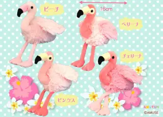 フラミンゴのピーチの画像