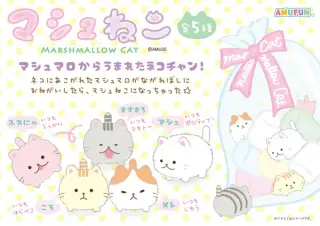 マシュねこの画像