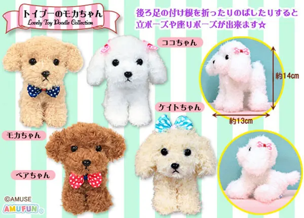 トイプーのモカちゃんチャーミー ラインナップ 3