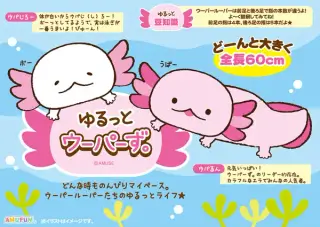 ゆるっとウーパーず。の画像