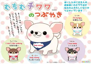 むちむチワワのつぶやきの画像