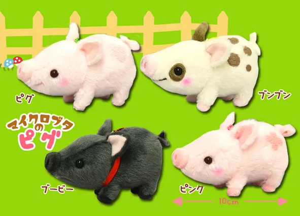 マイクロブタのピグ ラインナップ 3