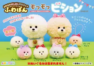 モフモフビションふわぽんの画像