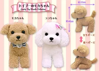 トイプーのモカちゃん ラインナップ 2