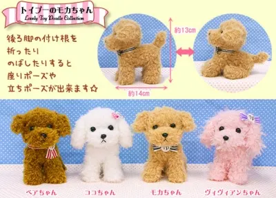 トイプーのモカちゃん ラインナップ 3