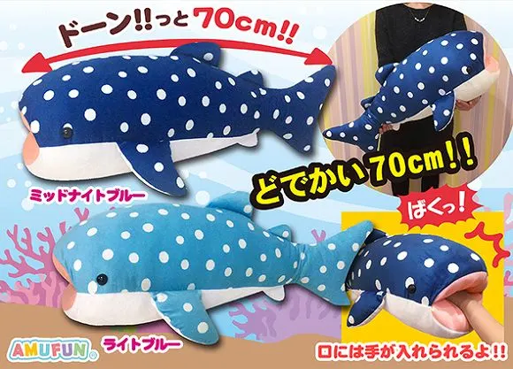 ジンベエザメ3 ラインナップ 1