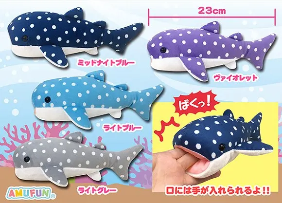 ジンベエザメ3 ラインナップ 2