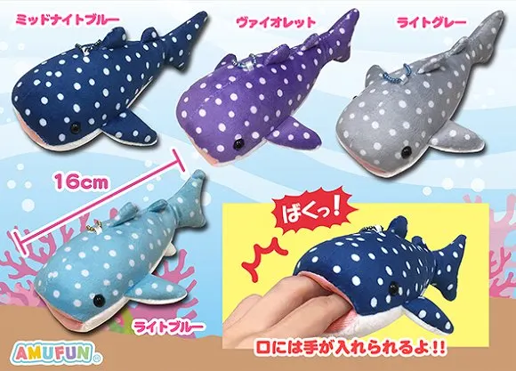 ジンベエザメ3 ラインナップ 3