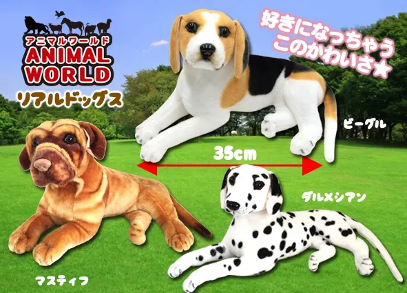 アニマルワールドリアルドッグスJB ラインナップ 1