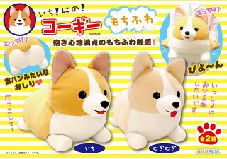 いちにのコーギーもちふわＢＩＧの画像