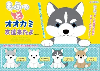 もふっとオオカミ友達来たよの画像