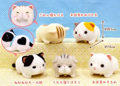 うたた寝マンチカン ラインナップ 3