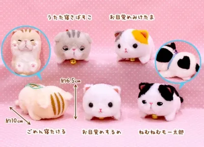 うたた寝マンチカン ラインナップ 4