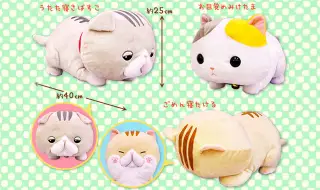 うたた寝マンチカンの画像