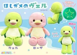 ほしガメのヴェルの画像