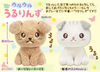 ウルウルうるりんずの画像