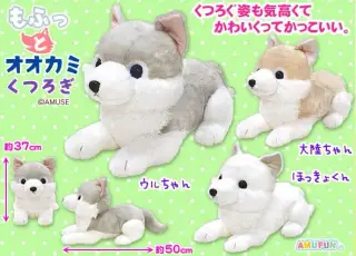 もふっとオオカミくつろぎの画像
