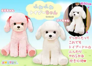 ふわふわトイプーちゃんの画像
