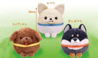 ワンダフルわんこ隊の画像