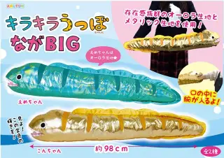 キラキラ うつぼの画像