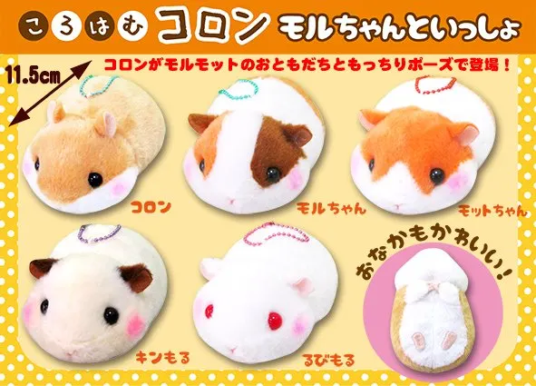ころはむコロンモルちゃんといっしょ ラインナップ 4