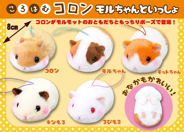 ころはむコロンモルちゃんといっしょ ラインナップ 5
