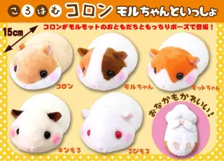 ころはむコロンモルちゃんといっしょの画像