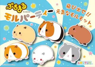 ぷちまるモルパーティーの画像