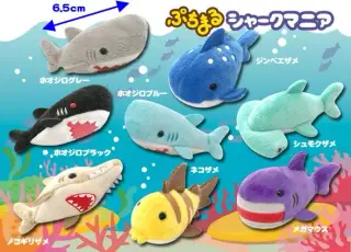 ぷちまるシャークマニアの画像