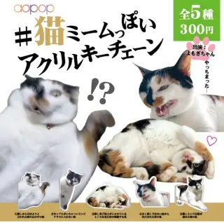 ＃猫ミームっぽいアクリルキーチェーンの画像